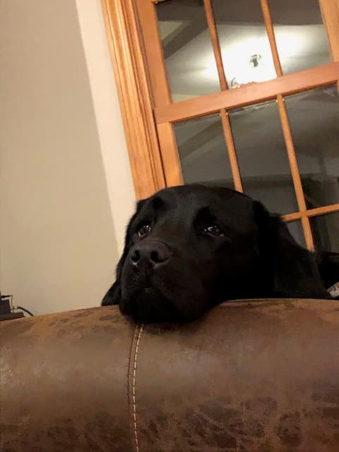 Snow Ridge Charlotte at Hickory Ridge